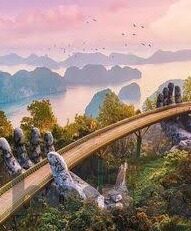 纬来体育